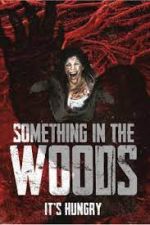 Watch Something in the Woods 123movies