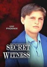 Watch Secret Witness 123movies