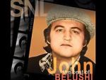 Watch Saturday Night Live: The Best of John Belushi 123movies