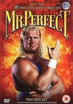 Watch The Life and Times of Mr. Perfect 123movies