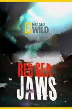 Watch National Geographic Red Sea Jaws 123movies