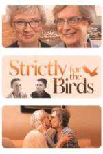 Watch Strictly for the Birds 123movies