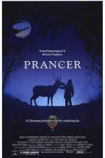 Watch Prancer 123movies