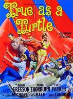Watch True as a Turtle 123movies