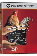 Watch The Natural History of the Chicken 123movies