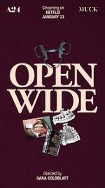 Watch Open Wide 123movies