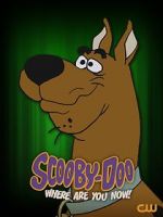 Watch Scooby-Doo, Where Are You Now! (TV Special 2021) 123movies
