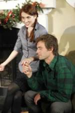 Watch Merry In-Laws 123movies