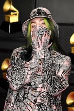 Watch The 63rd Annual Grammy Awards 123movies