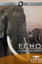 Watch Echo: An Elephant to Remember 123movies