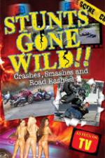 Watch Stunts Gone Wild: Crashes, Smashes & Road Rashes! 123movies