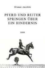 Watch Pferd und Reiter Springen über ein Hindernis 123movies