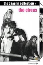 Watch The Circus 123movies