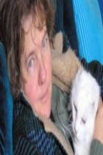 Watch Ciao Meow 123movies