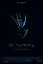 Watch The Hunchback 123movies