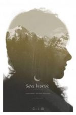 Watch Sea Horse 123movies