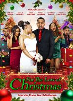Watch For the Love of Christmas 123movies