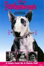 Watch Frankenweenie 123movies