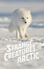 Watch Strange Creatures of the Arctic (TV Special 2022) 123movies