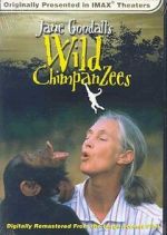 Watch Jane Goodall\'s Wild Chimpanzees 123movies