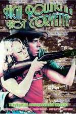Watch High Rolling in a Hot Corvette 123movies