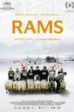 Watch Hrútar 123movies