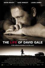 Watch The Life of David Gale 123movies