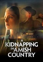 Watch A Kidnapping in Amish Country 123movies