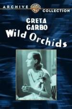 Watch Wild Orchids 123movies