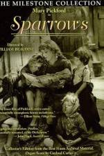 Watch Sparrows 123movies