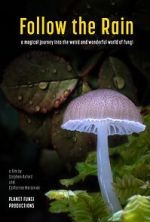 Watch Follow the Rain 123movies