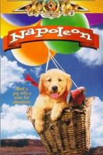 Watch Napoleon 123movies