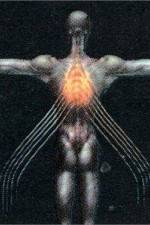 Watch Tool Salival 123movies