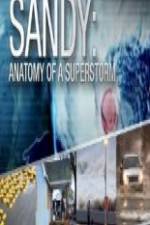 Watch Sandy Anatomy Of A Superstorm 123movies