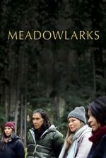 Watch Meadowlarks 123movies