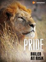 Watch Pride - Ruler\'s at Risk 123movies