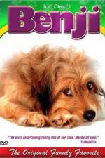 Watch Benji 123movies