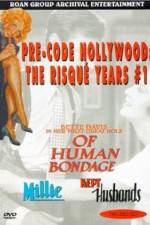 Watch Kept Husbands 123movies