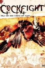 Watch The Round and Round 123movies