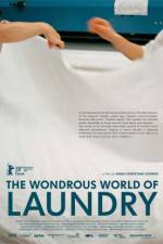 Watch The Laundromat 123movies