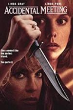 Watch Accidental Meeting 123movies