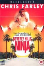 Watch Beverly Hills Ninja 123movies