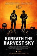 Watch Beneath the Harvest Sky 123movies