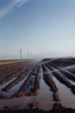 Watch El Valley Centro 123movies