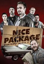 Watch Nice Package 123movies