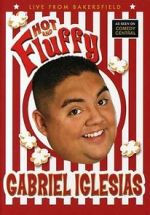 Watch Gabriel Iglesias: Hot and Fluffy 123movies