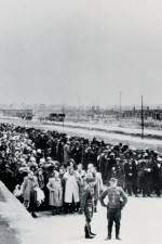 Watch AUSCHWITZ: SURPRISING BEGINNINGS 123movies