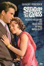 Watch Splendor in the Grass 123movies