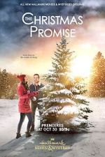 Watch The Christmas Promise 123movies
