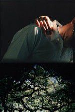 Watch The Hedge Theater 123movies